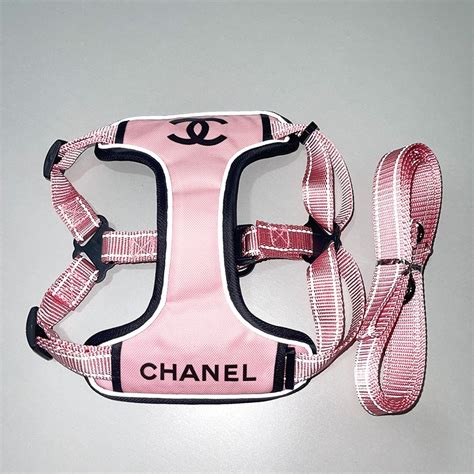 chanel pet accessories